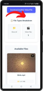 Step-3-TeraBox-file-Downloader Step-3-TeraBox-file-Downloader